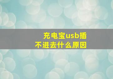 充电宝usb插不进去什么原因