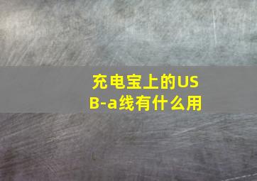 充电宝上的USB-a线有什么用