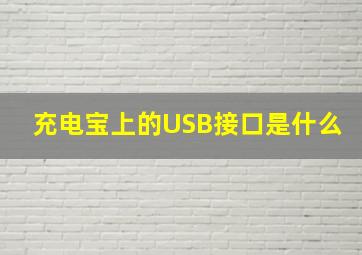 充电宝上的USB接口是什么