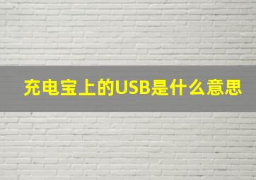 充电宝上的USB是什么意思