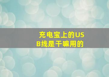 充电宝上的USB线是干嘛用的