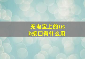 充电宝上的usb接口有什么用