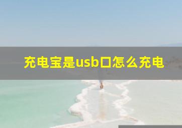 充电宝是usb口怎么充电