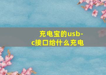 充电宝的usb-c接口给什么充电