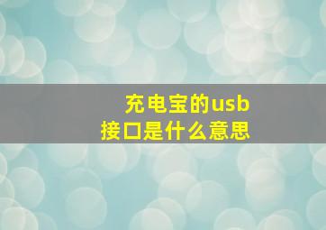 充电宝的usb接口是什么意思