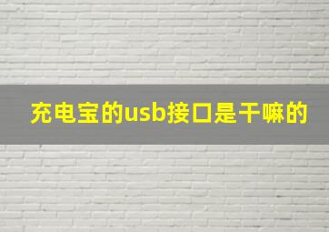 充电宝的usb接口是干嘛的