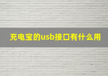 充电宝的usb接口有什么用