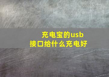 充电宝的usb接口给什么充电好