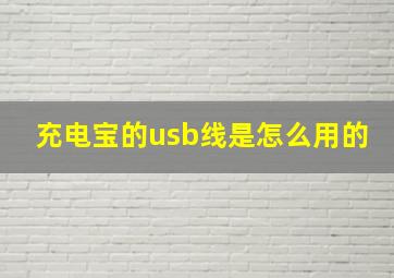 充电宝的usb线是怎么用的