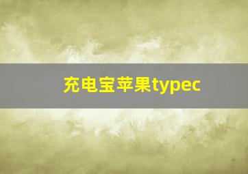 充电宝苹果typec