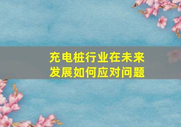 充电桩行业在未来发展如何应对问题