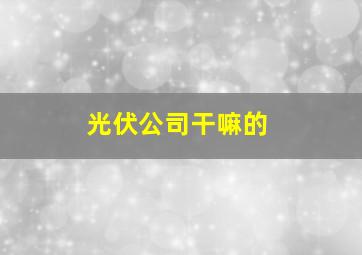 光伏公司干嘛的