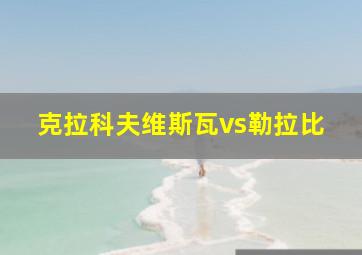 克拉科夫维斯瓦vs勒拉比