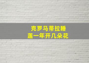 克罗马蒂拉睡莲一年开几朵花