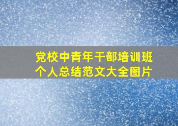 党校中青年干部培训班个人总结范文大全图片