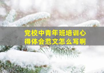 党校中青年班培训心得体会范文怎么写啊