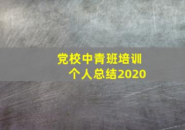 党校中青班培训个人总结2020