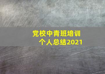 党校中青班培训个人总结2021