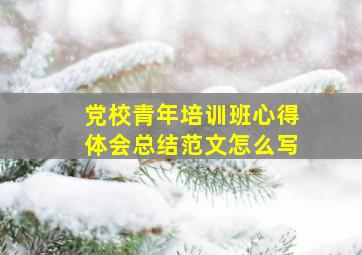 党校青年培训班心得体会总结范文怎么写