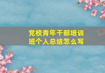 党校青年干部培训班个人总结怎么写