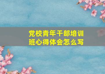 党校青年干部培训班心得体会怎么写