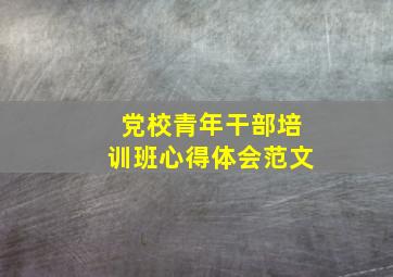 党校青年干部培训班心得体会范文