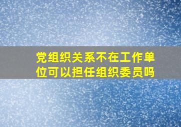 党组织关系不在工作单位可以担任组织委员吗