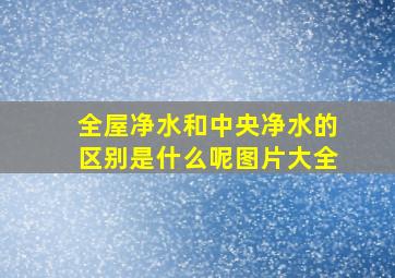 全屋净水和中央净水的区别是什么呢图片大全