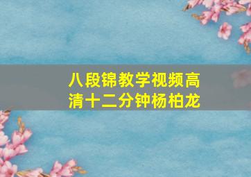 八段锦教学视频高清十二分钟杨柏龙