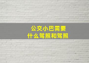 公交小巴需要什么驾照和驾照