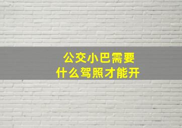 公交小巴需要什么驾照才能开