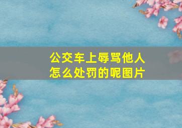 公交车上辱骂他人怎么处罚的呢图片