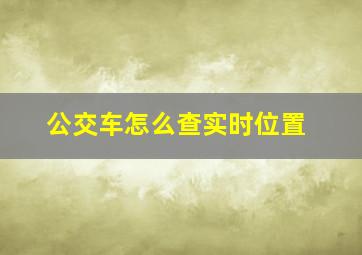 公交车怎么查实时位置