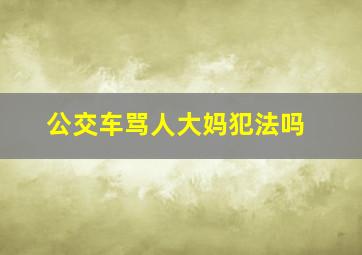 公交车骂人大妈犯法吗