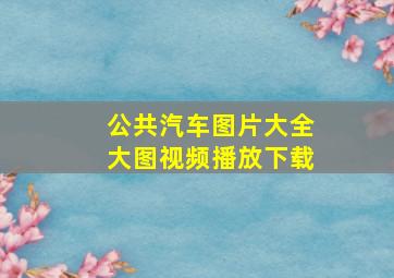 公共汽车图片大全大图视频播放下载