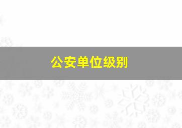 公安单位级别