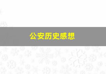 公安历史感想