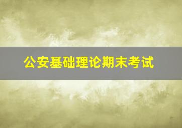 公安基础理论期末考试