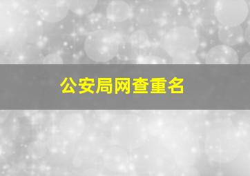 公安局网查重名