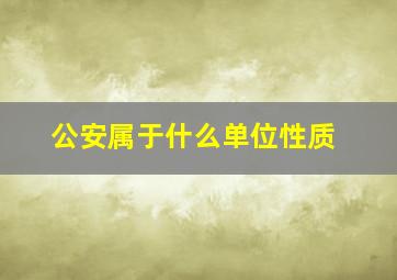 公安属于什么单位性质