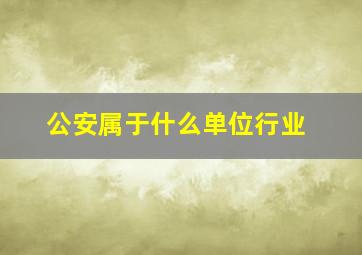 公安属于什么单位行业