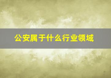 公安属于什么行业领域