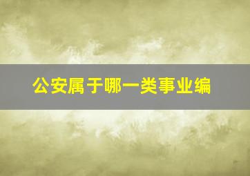 公安属于哪一类事业编