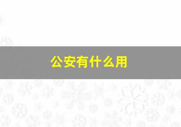 公安有什么用