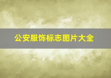 公安服饰标志图片大全