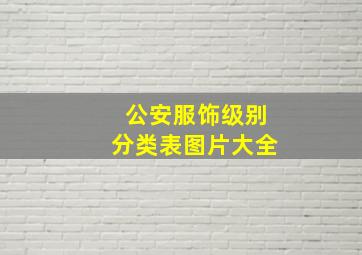 公安服饰级别分类表图片大全