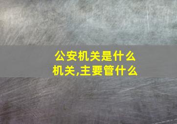 公安机关是什么机关,主要管什么