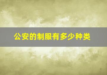 公安的制服有多少种类