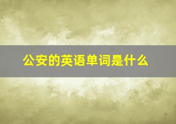 公安的英语单词是什么