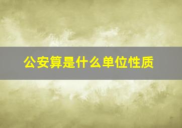 公安算是什么单位性质